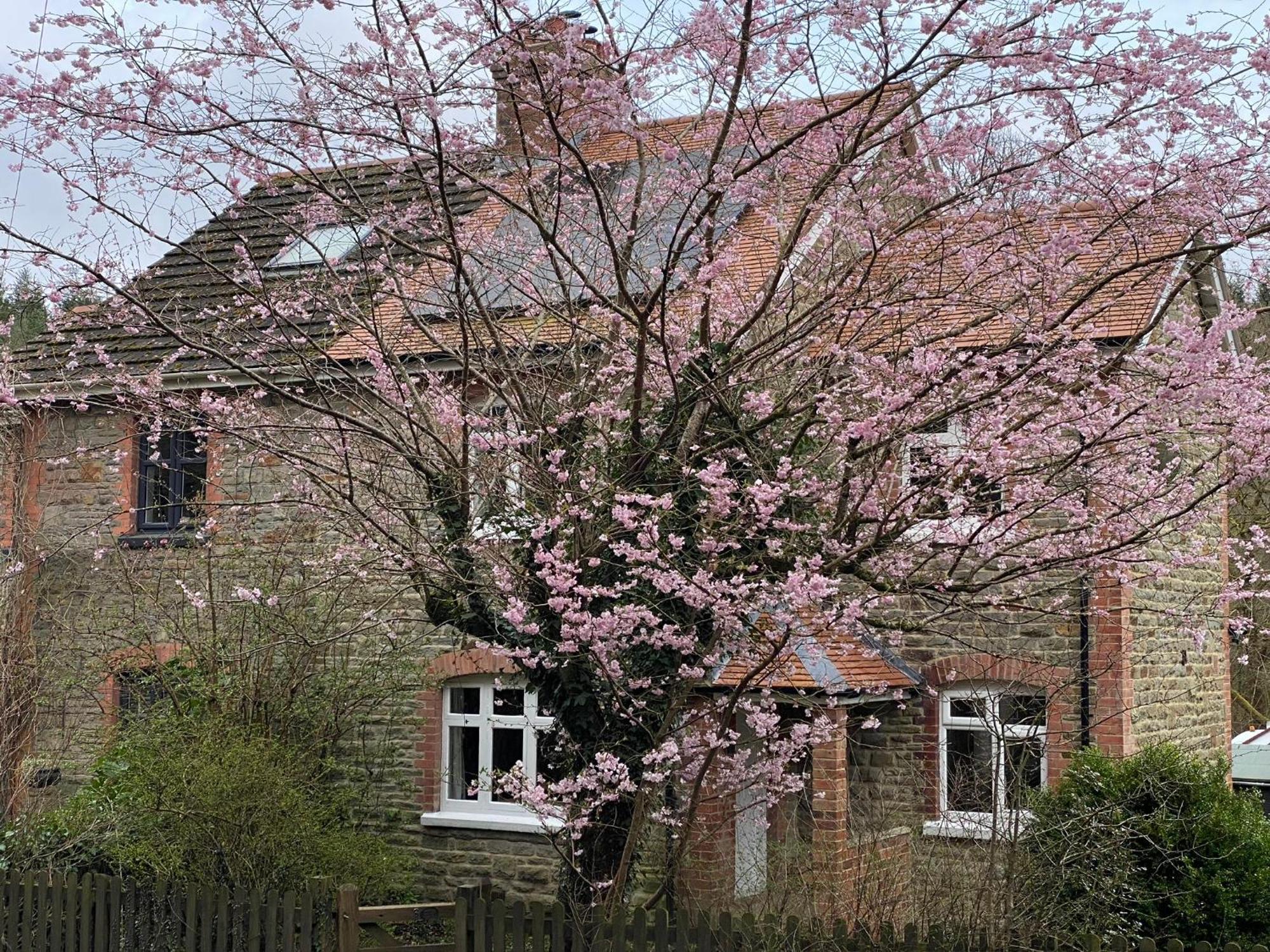 Willow Cottage Longney Luaran gambar